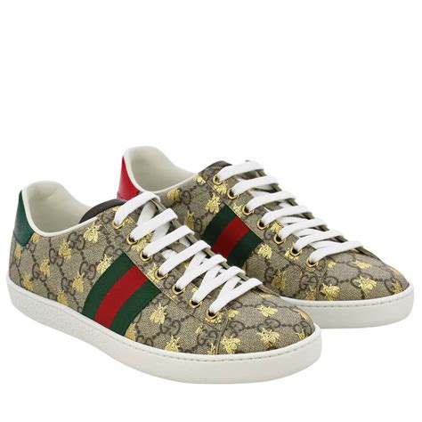 cucci sneakers price